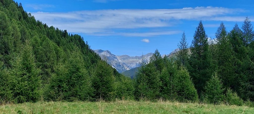 DoveSiamo_4